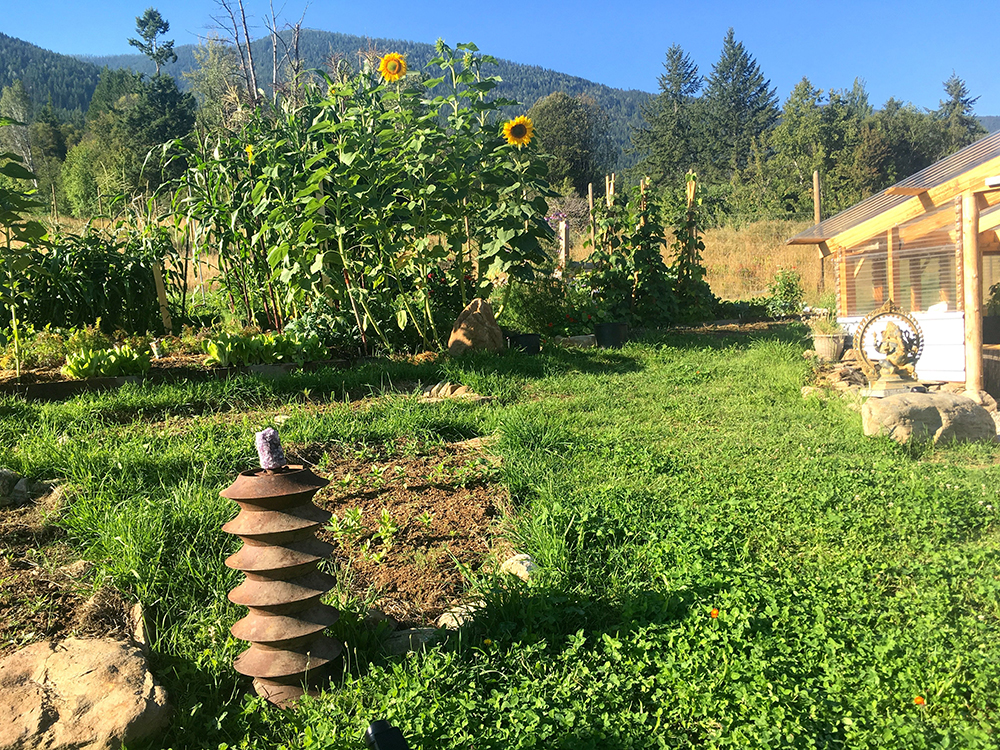 EXPLORE - Our Garden At Sunshine Bay Retreat